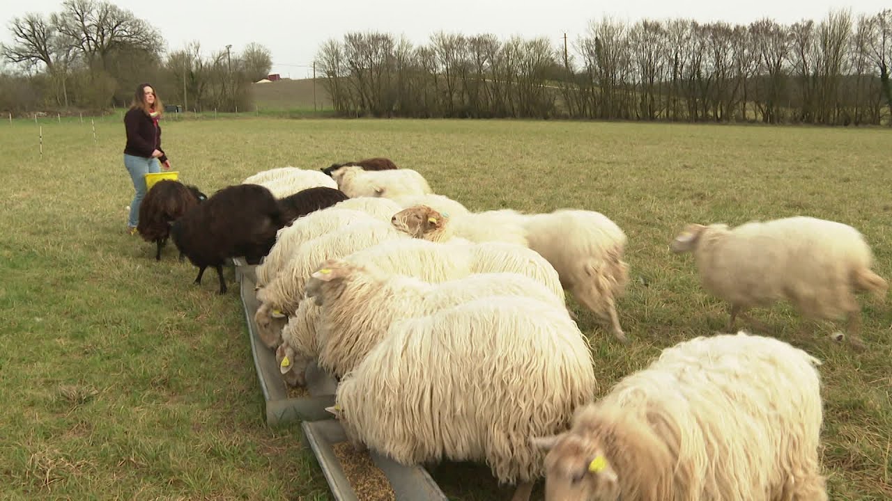 Itin&eacute;raire bis &agrave; Archigny dans la Vienne