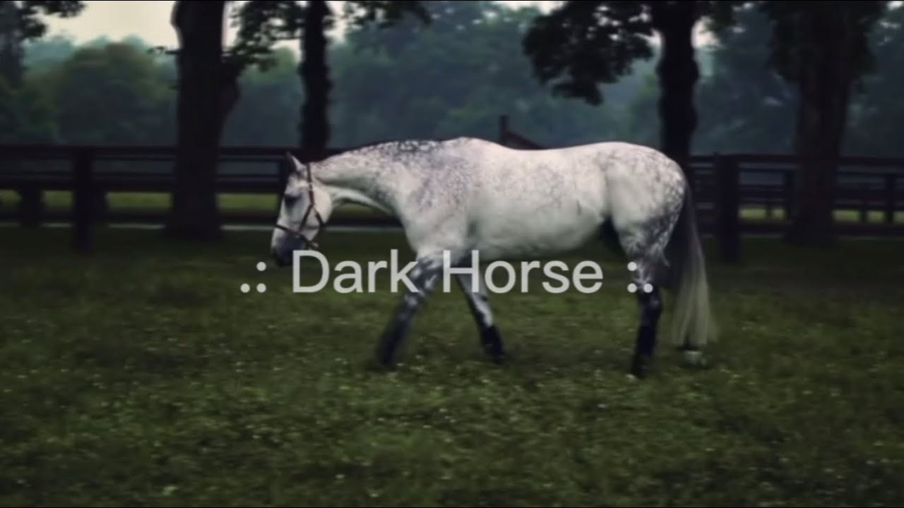 .: Dark Horse :.