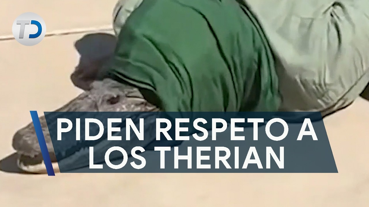 Piden respeto y empatía para los Therian ¿Buscan identidad?