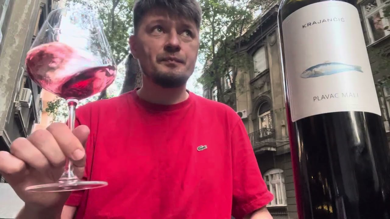 Меняю представление о Плавац Мали