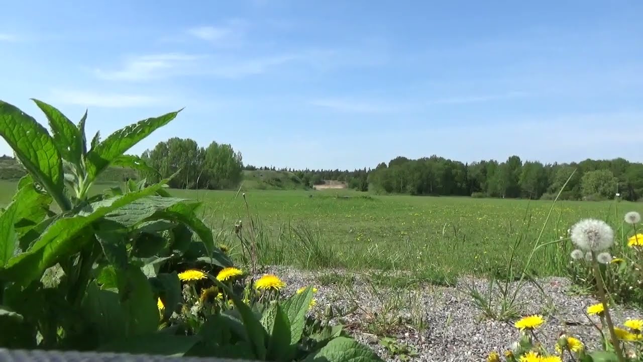 Steyr SSG04 A1 .300 wm at 500 meters