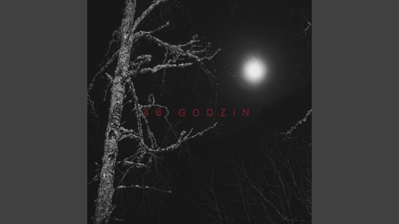 48 GODZIN