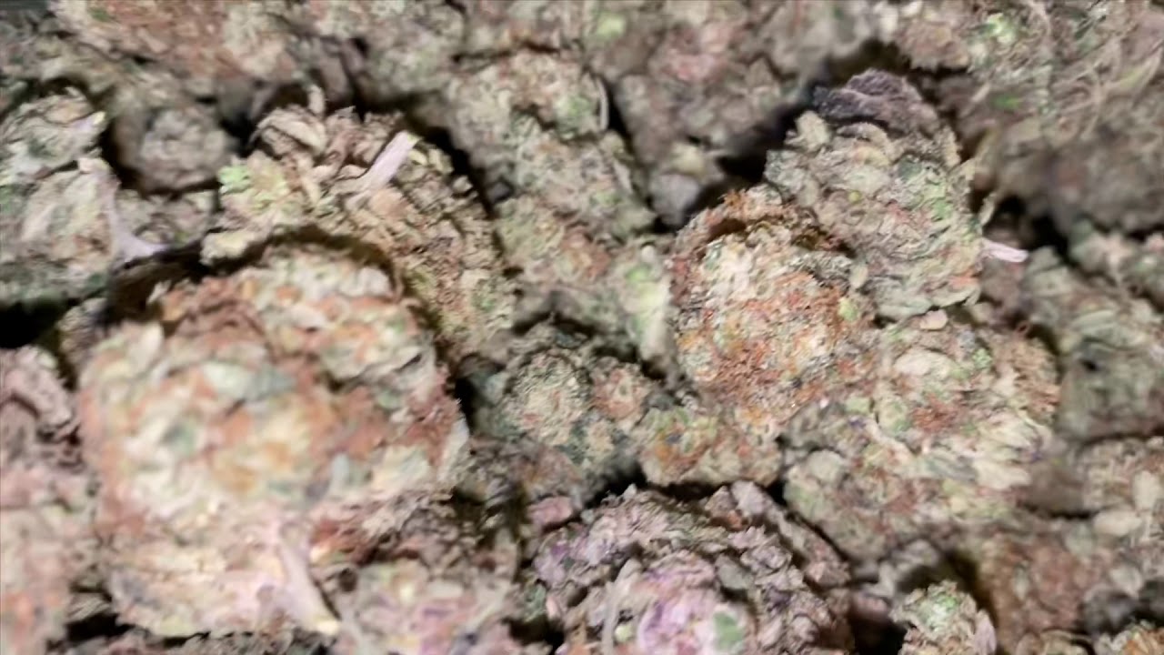Rolling Skywalker OG Weed Strain (#WeediSode)