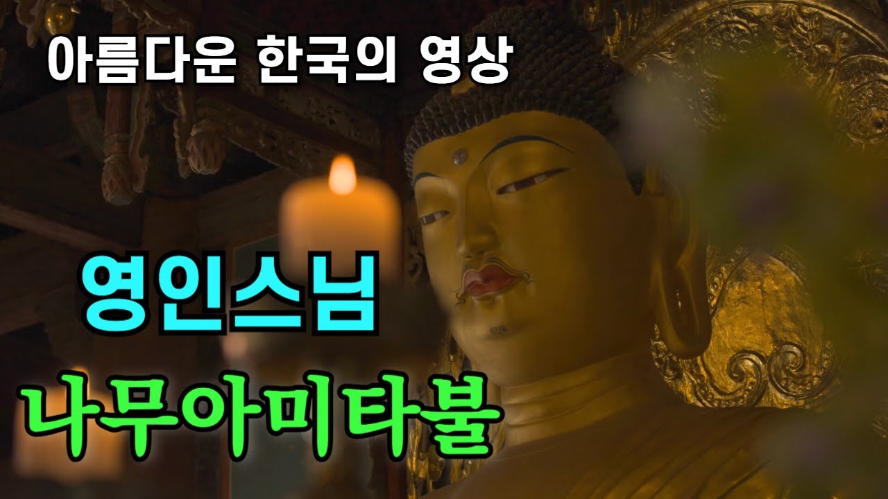 영인스님 나무아미타불 정근 염불수행 | 南無阿彌陀佛聖號 Namo Amitabha Chanting