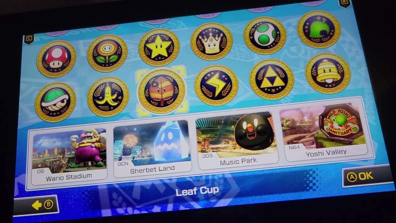 VS Race With 6 Races For Baby Mario