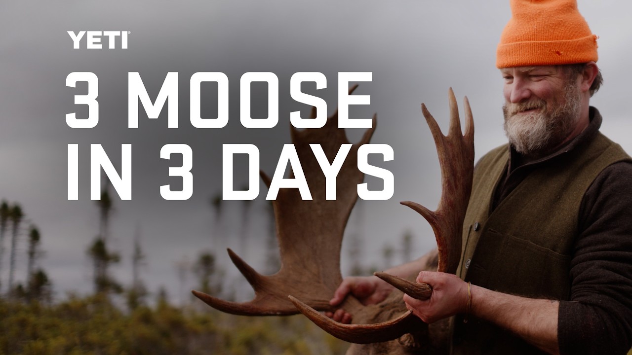 Moose Hunt, Cook, & Camp with World Class Chefs