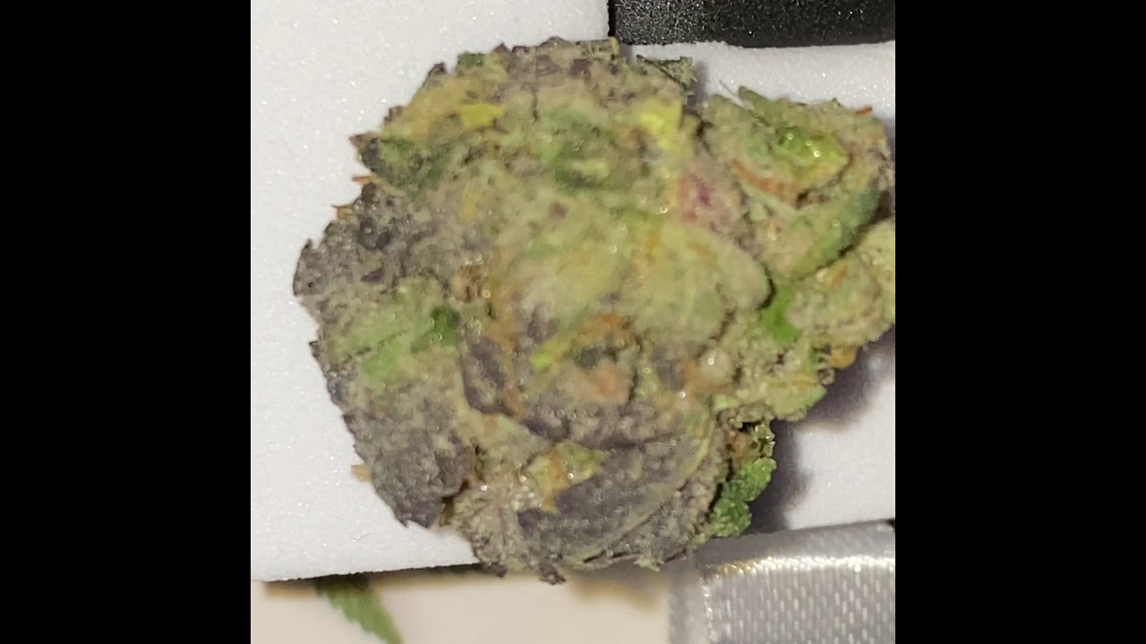 Thin Mint Girl Scout Cookies Strain