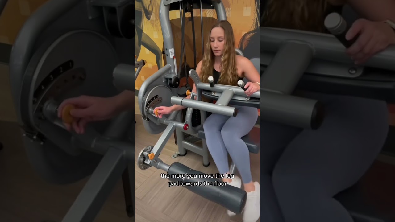 Seated Leg Curl Machine Tutorial