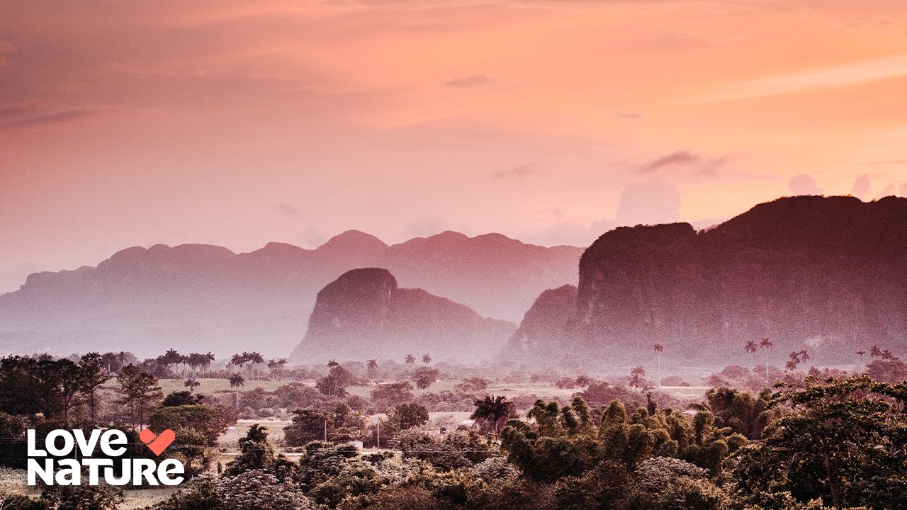 Africa’s Most Impossible Ecosystem | Great Parks of Africa 103
