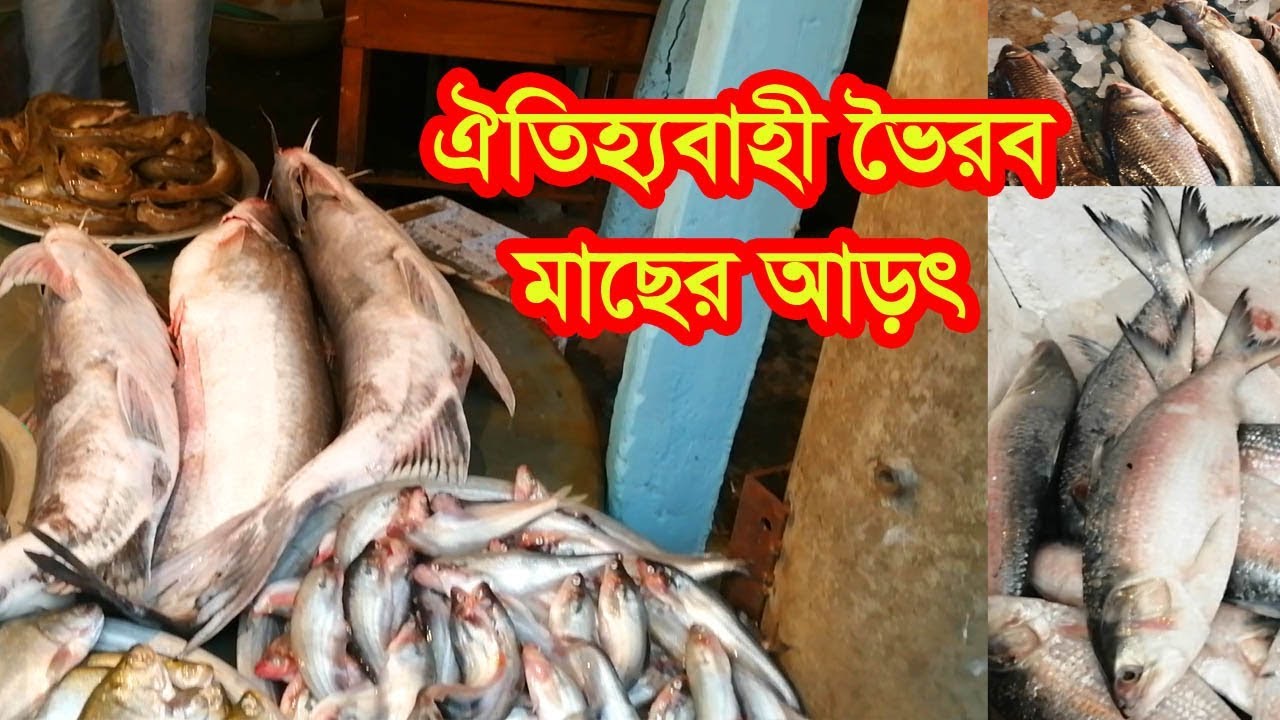 ঐতিহ্যবাহী ভৈরব মাছের আড়ৎ (ভার্চূয়াল ট্যূর) |Traditional Fish Market In Bangladesh | ভৈরব বাজার