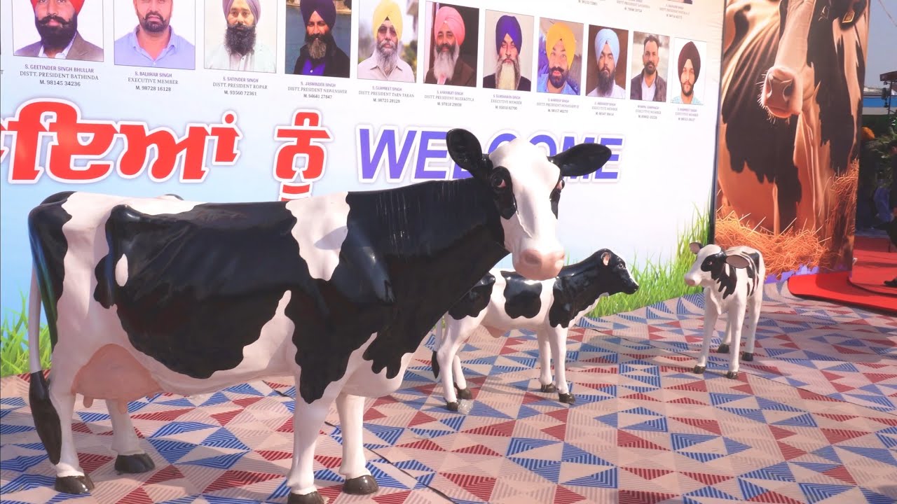Trip toh pelha Jagraon PDFA Mela ch geda de aaye.