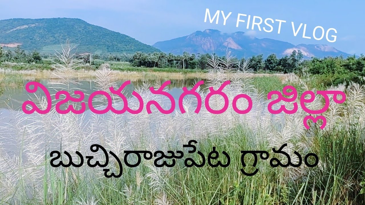 అందమైన గ్రామం బుచ్చిరాజుపేట💖... మా అత్తగారి ఊరు...❤.😘 MY FIRST VLOG 2025.