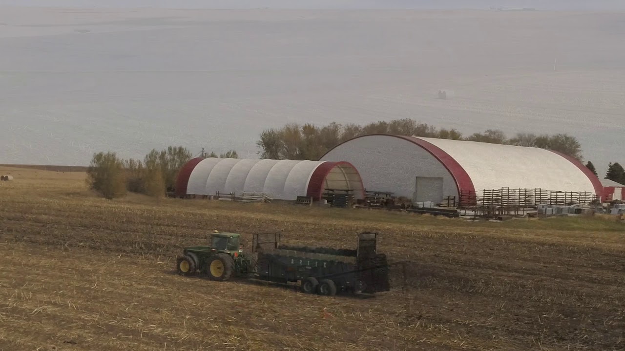 SBX600 Corn Field