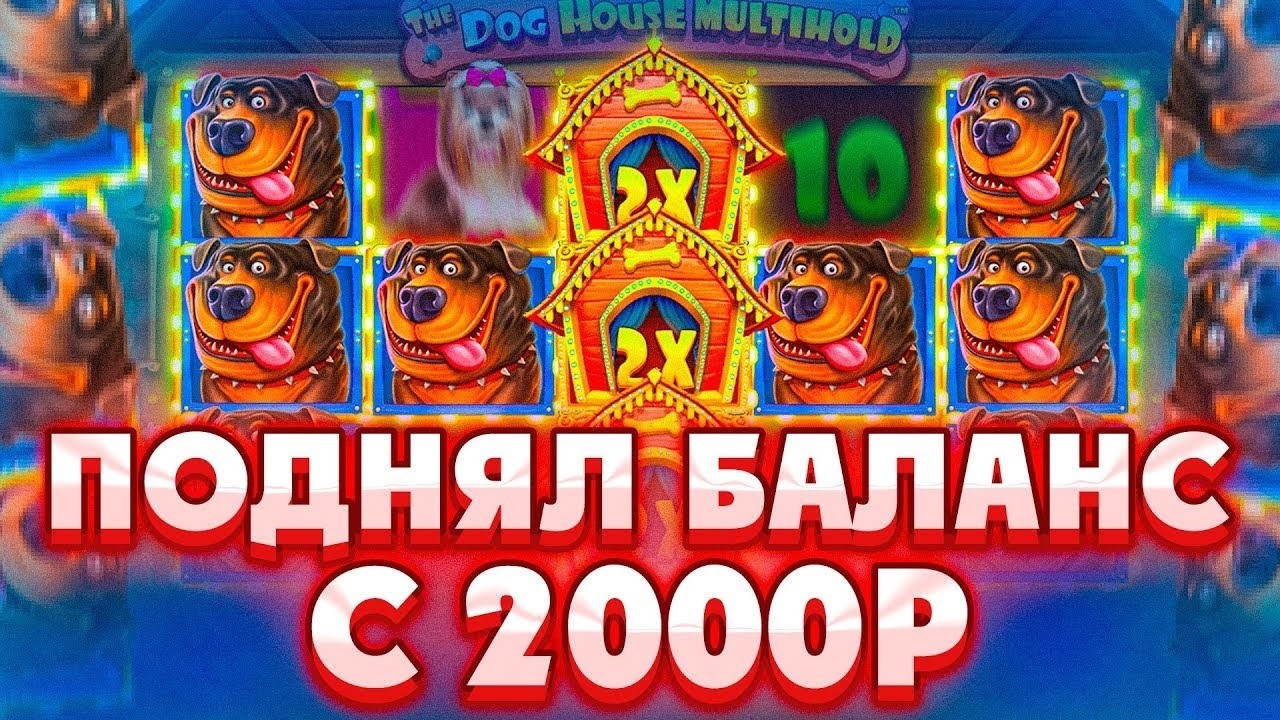 ЛЕГЧАЙШАЯ СЕССИЯ С 2000Р В DOG HOUSE DOG OR ALIVE / ДОГ ХАУС ПОСТАВИЛ ЗАНОСЫ НЕДЕЛИ
