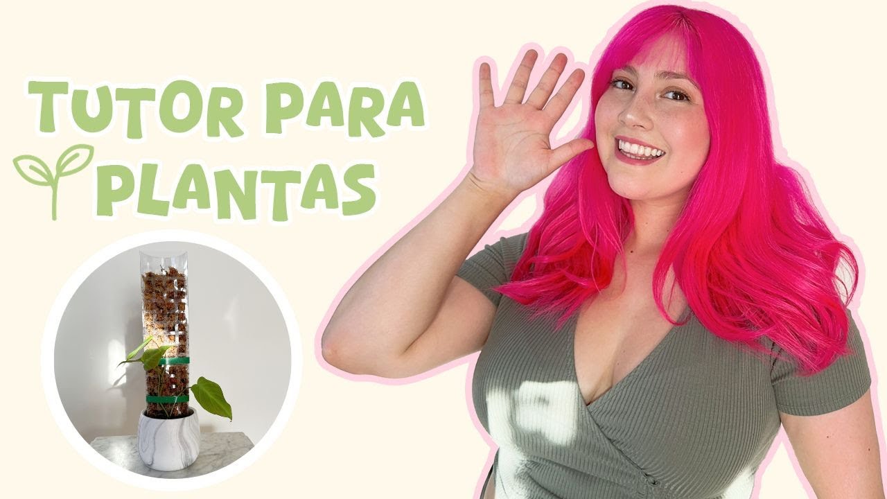 Como poner Tutor de Musgo en una planta ¿Qué es y para que sirve? Trasplantes, Actualizaciones y más