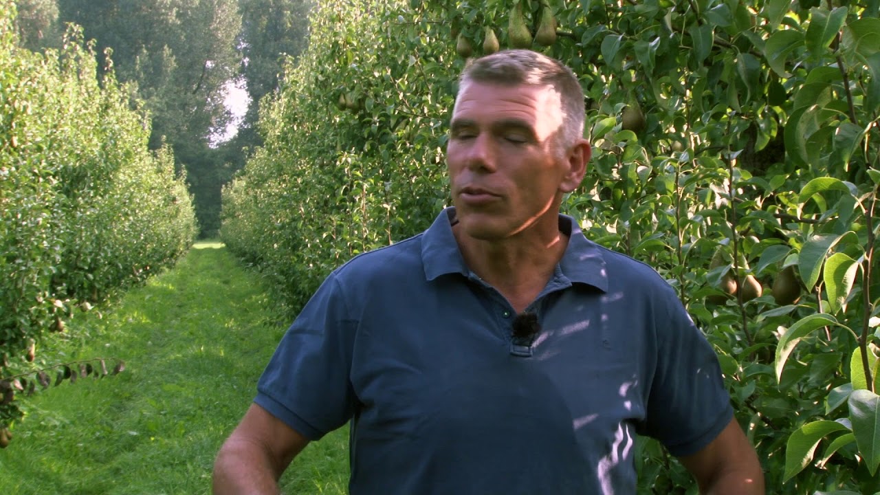 Bedrijfsfilm biologische fruitteler