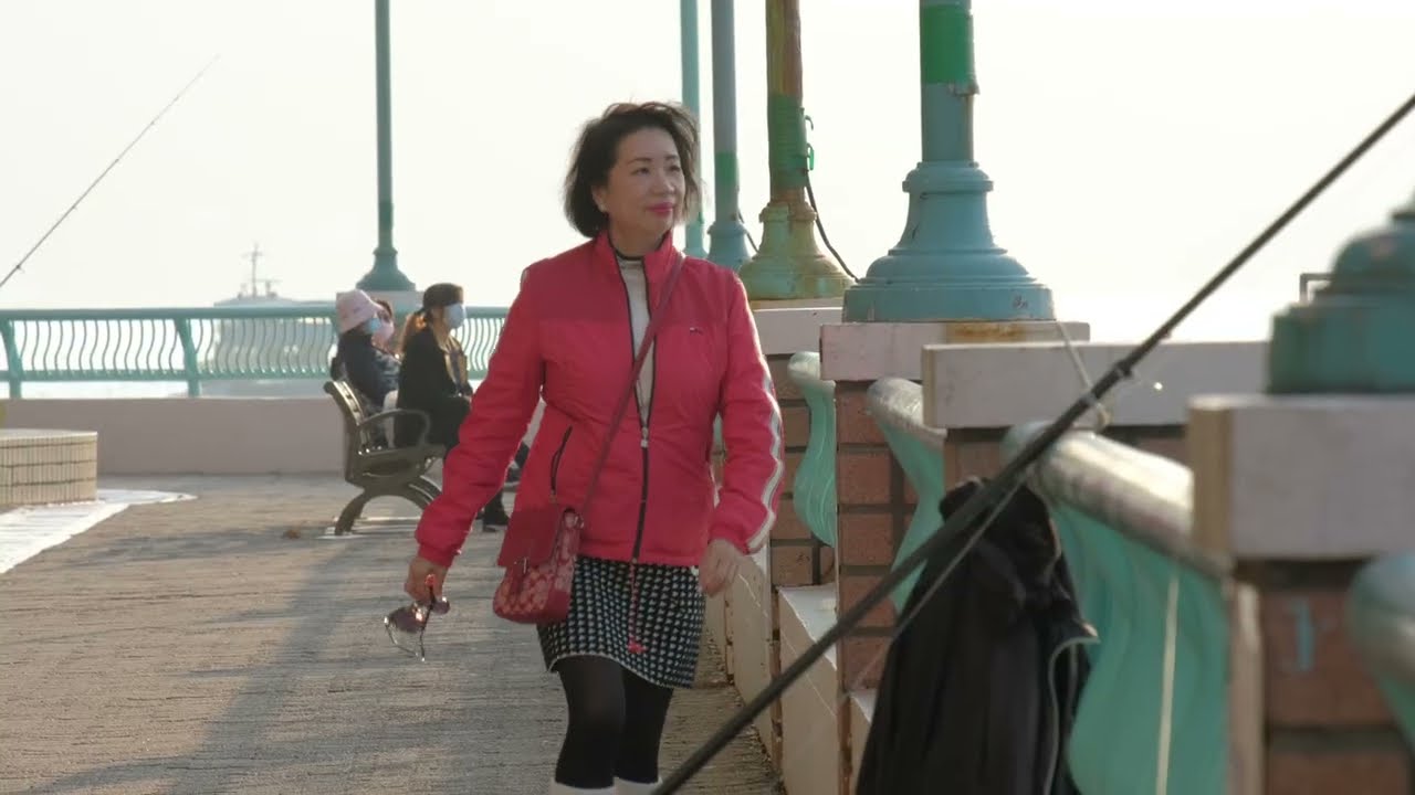 漫步人生路 Vivian Tsang