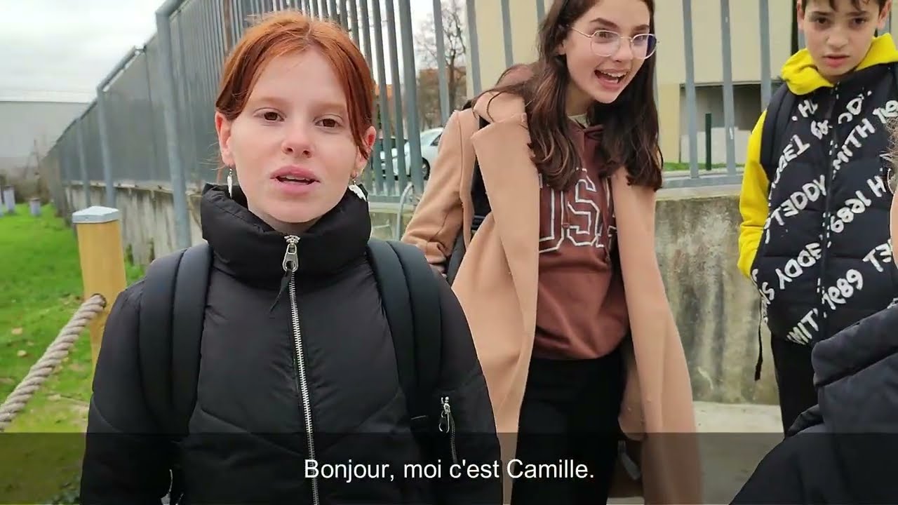 Concours NAH 2024 - prix prévention du cyberharcèlement - collège Vauquelin (Haute-Garonne)