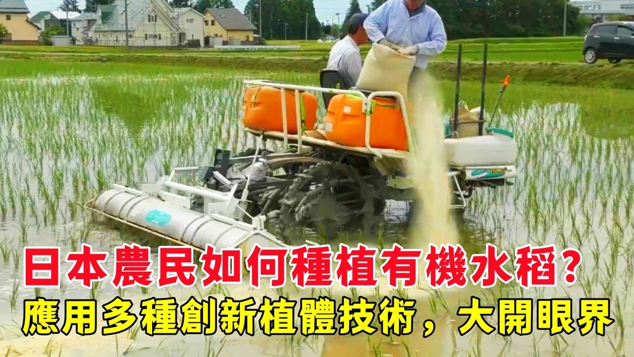 日本農民如何種植有機水稻？應用多種創新植體技術，令人大開眼界！ | 有機稻米 | 稻米種植 | 日本稻米 | 種植技術 |