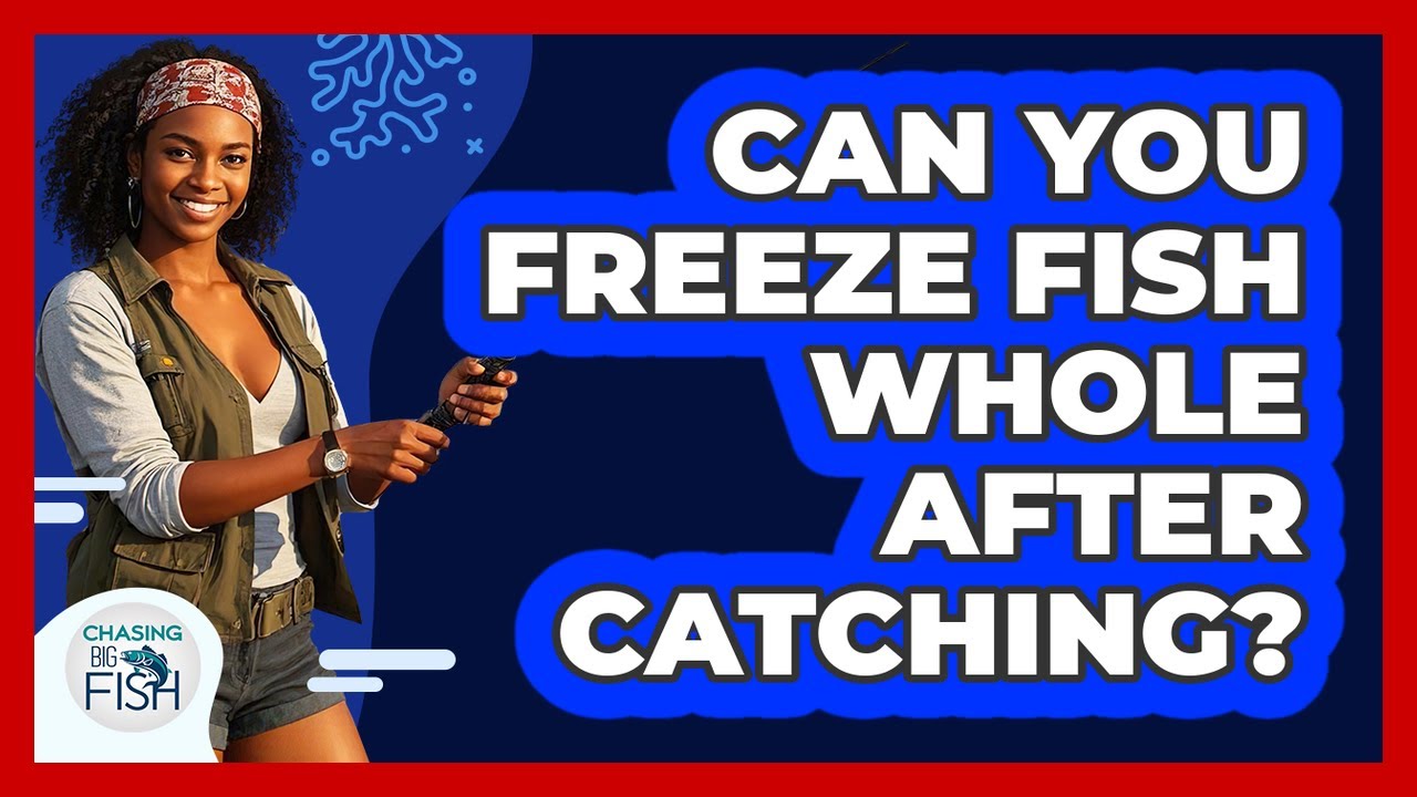 Can You Freeze Fish Whole After Catching?