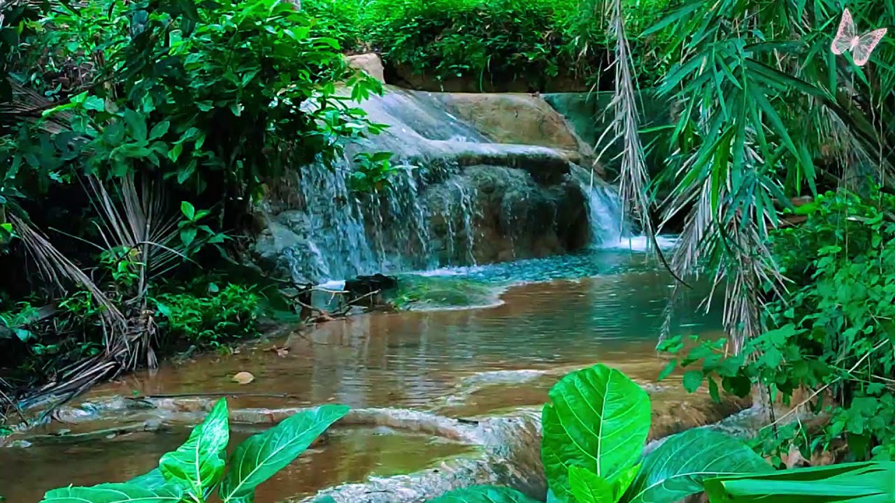 Relaxing Music For Stress Relief, Anxiety and Depressive States🌲 Heal Mind, Body and Soul Relax 24