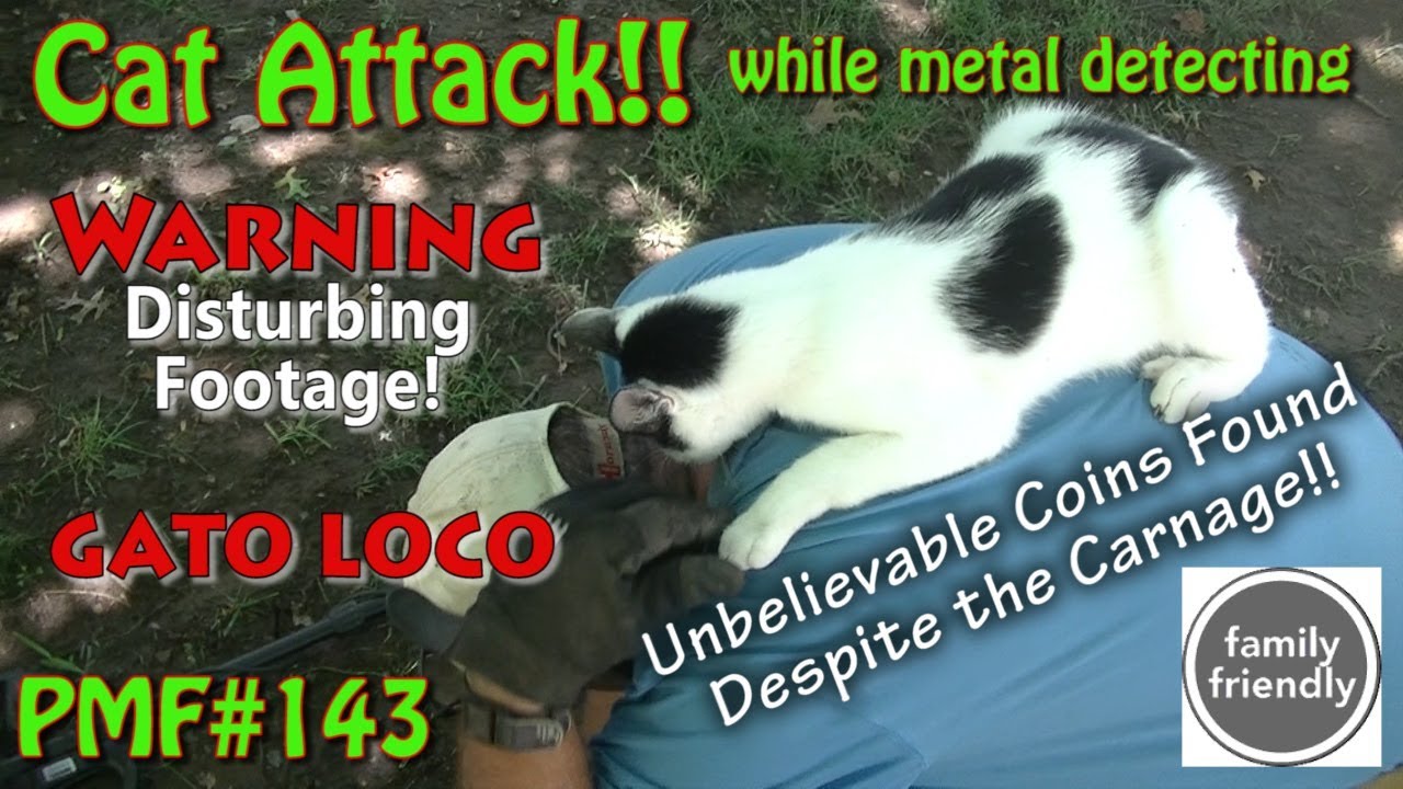 PMF#143 Cat Attack While Metal Detecting 2018 WARNING!!