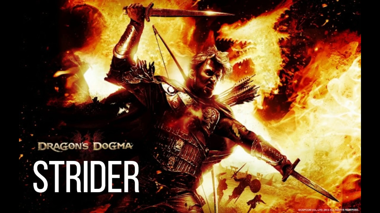 Strider Schematics Dragon's Dogma