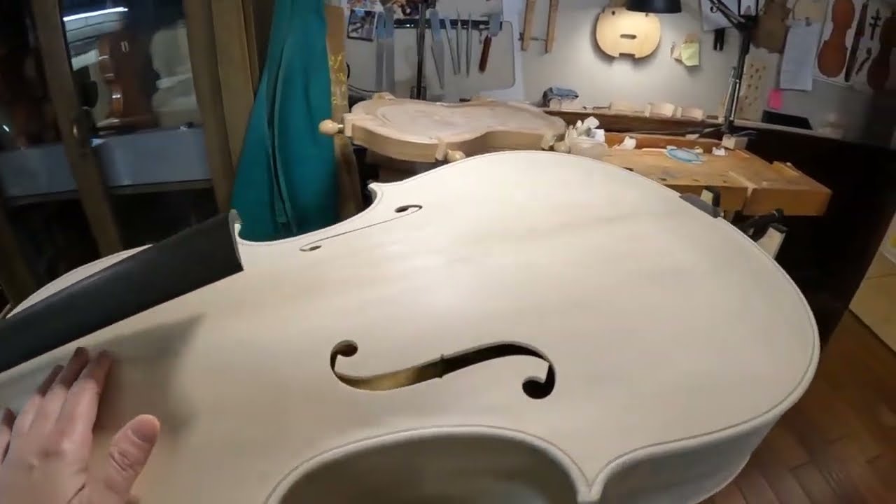 Live 🎻🎥 what if I do this on my cello?! 👑 Tarquinio il Superbo