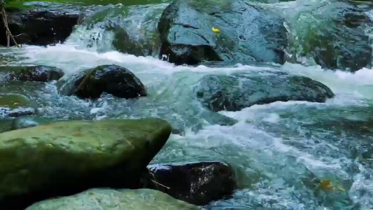 River sounds for Relaxing, Sleeping, Healing, Study & Meditation