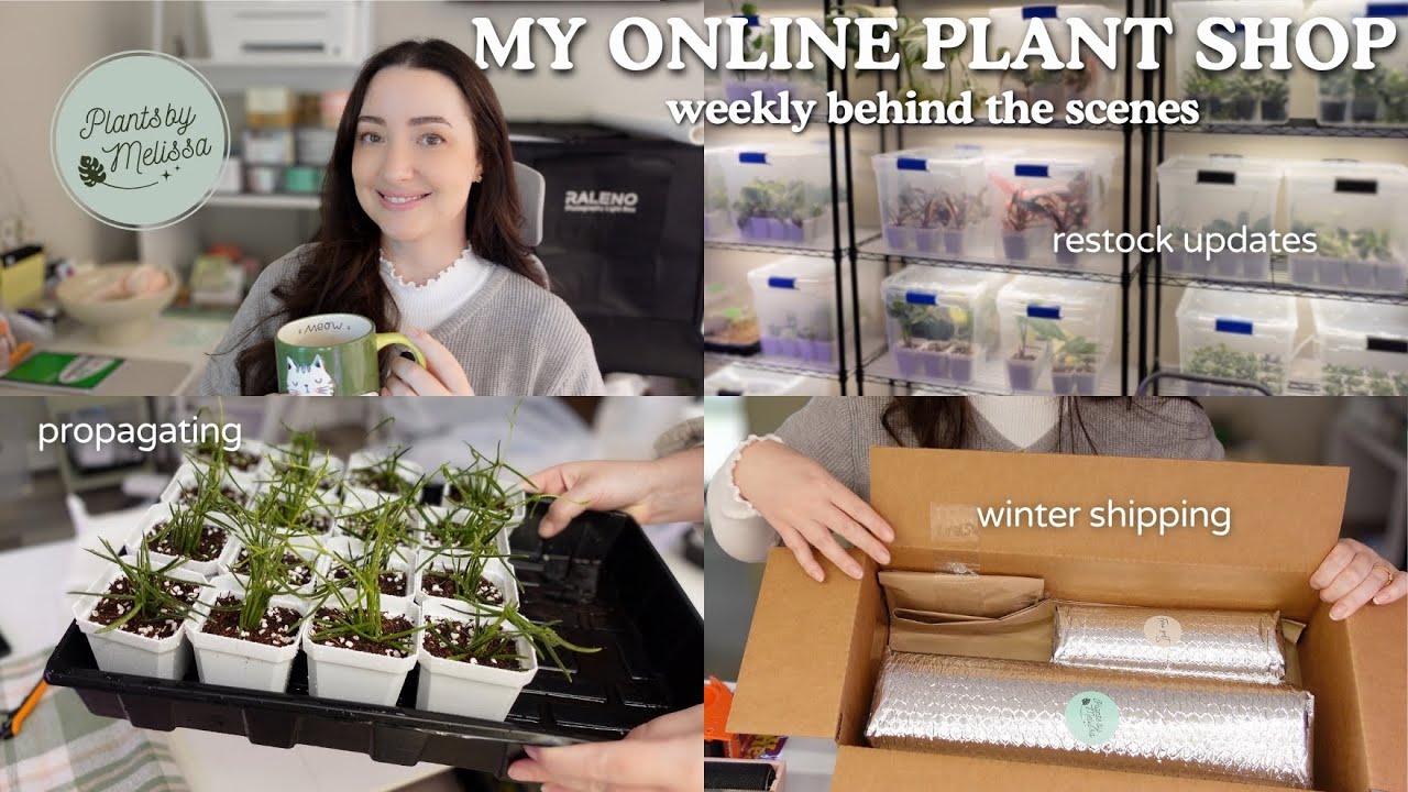 Running My Online Plant Shop From Home | A Week in the Life 🌿