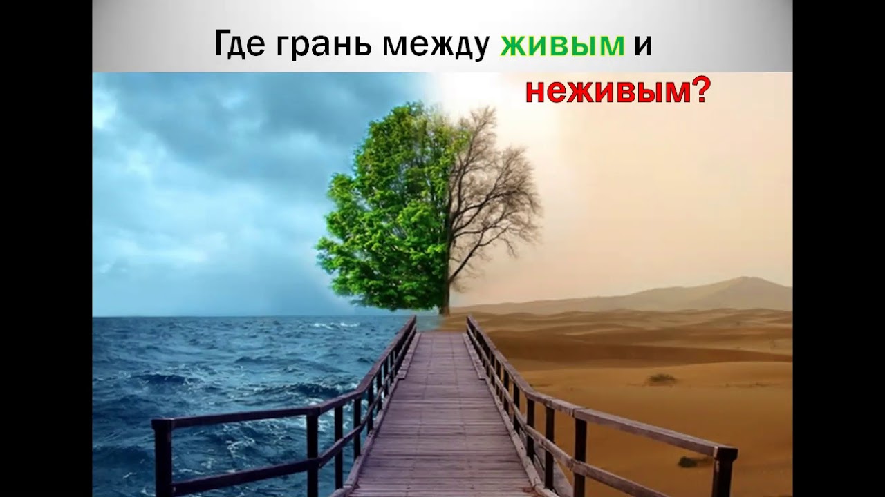 С.Жаданов. Танатология. Переходя черту жизни.