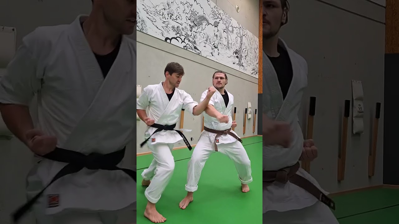 Basic Kihon Kumite in Shaolin Kempo for beginners (Karate/Kung Fu) by Dennis Kempo Part 2