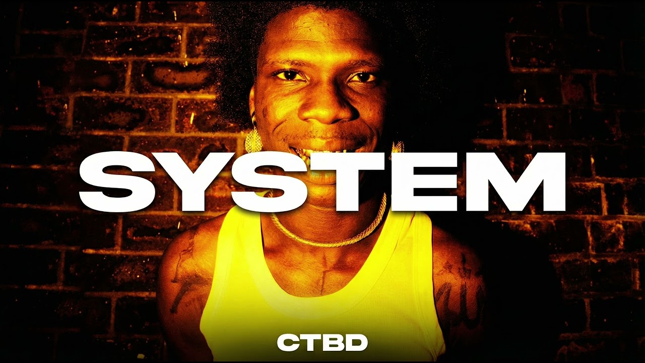 SYSTEM - Seyi Vibez Type Beat | Alternative Afrobeat  