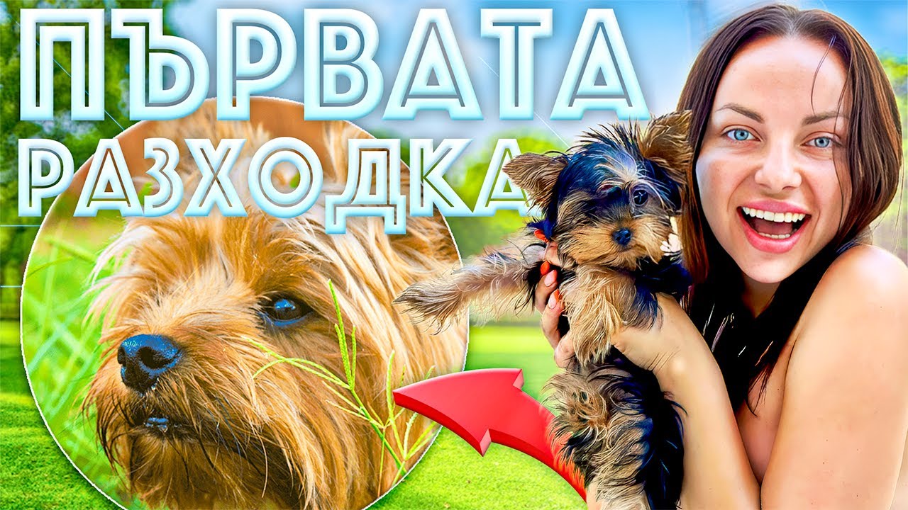 ПЪРВАТА РАЗХОДКА НА МИНИ! КАКВО СЕ СЛУЧИ? 😱