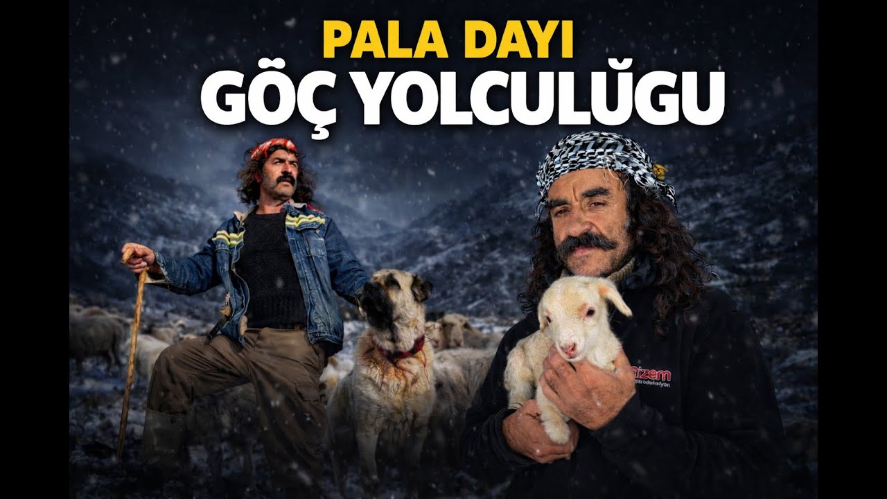 PALA DAYI - GÖÇ YOLCULUĞU