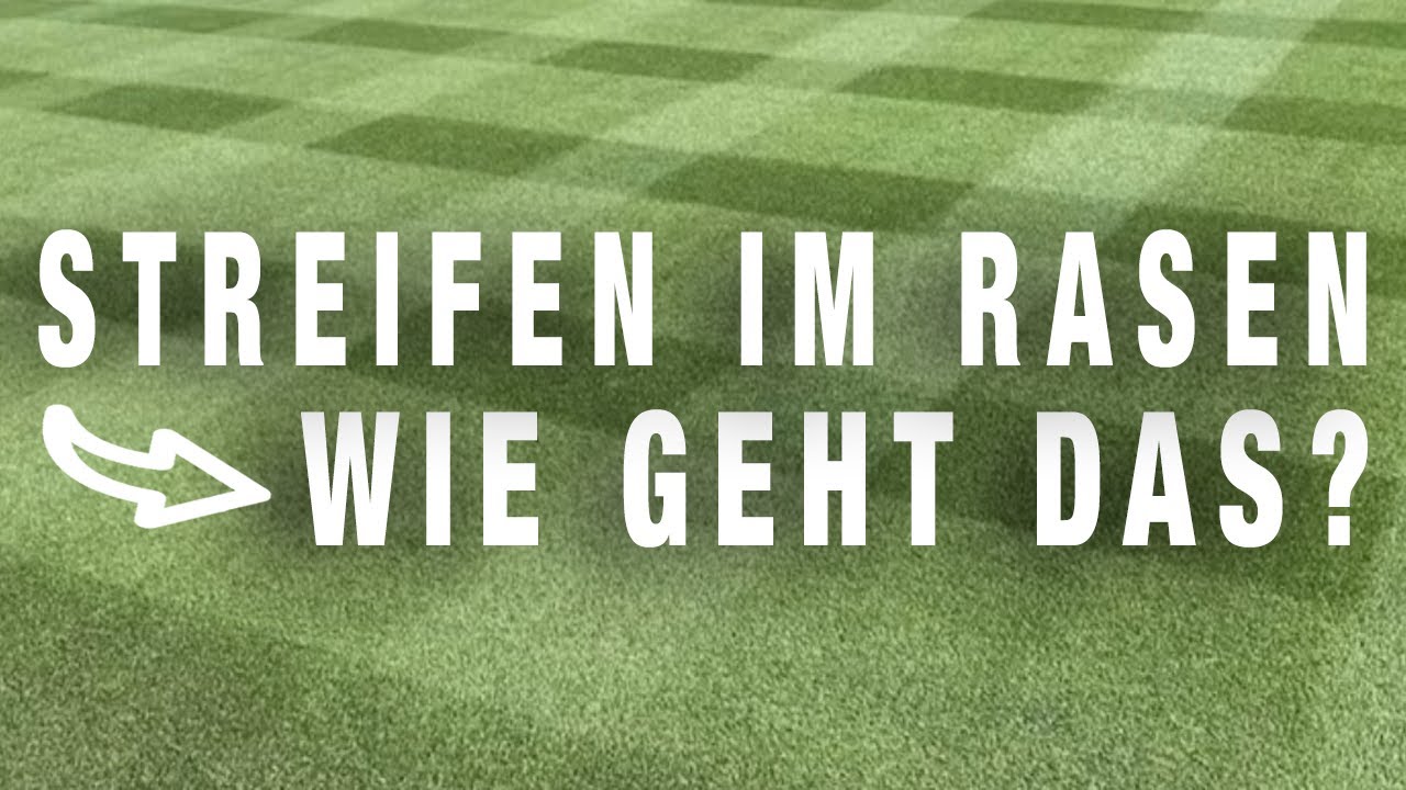 Streifen im Rasen
