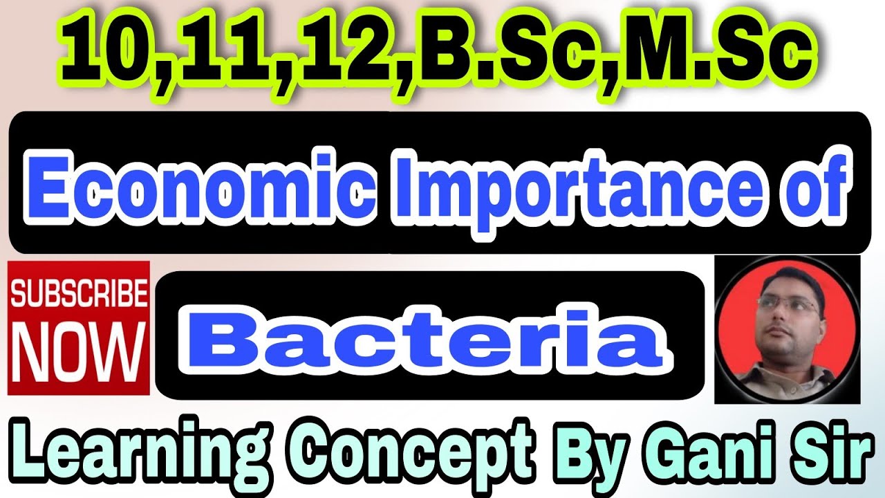 Economic Importance of Bacteria. #educationalvideos.Byganisir.