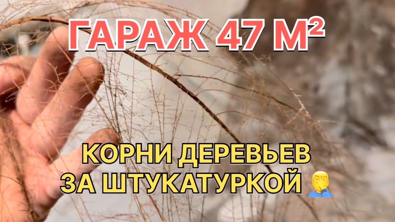 Гараж 47м2 - В стене гаража нашел КОРНИ ДЕРЕВЬЕВ! Разборка комнаты отдыха и сюрпризы потолка