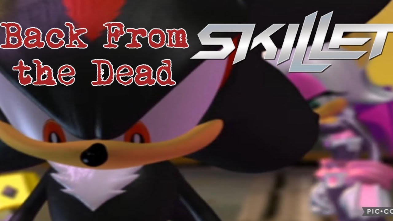 Shadow the Hedgehog (Sonic Heroes) Tribute ~ Back From The Dead