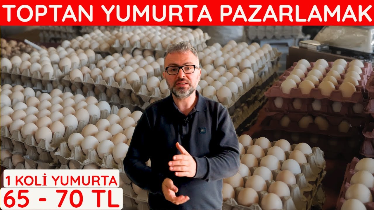 YUMURTA TOPTAN NASIL VE NERELERE SATILIR PAZARLANIR ? | YUMURTA PAZARI