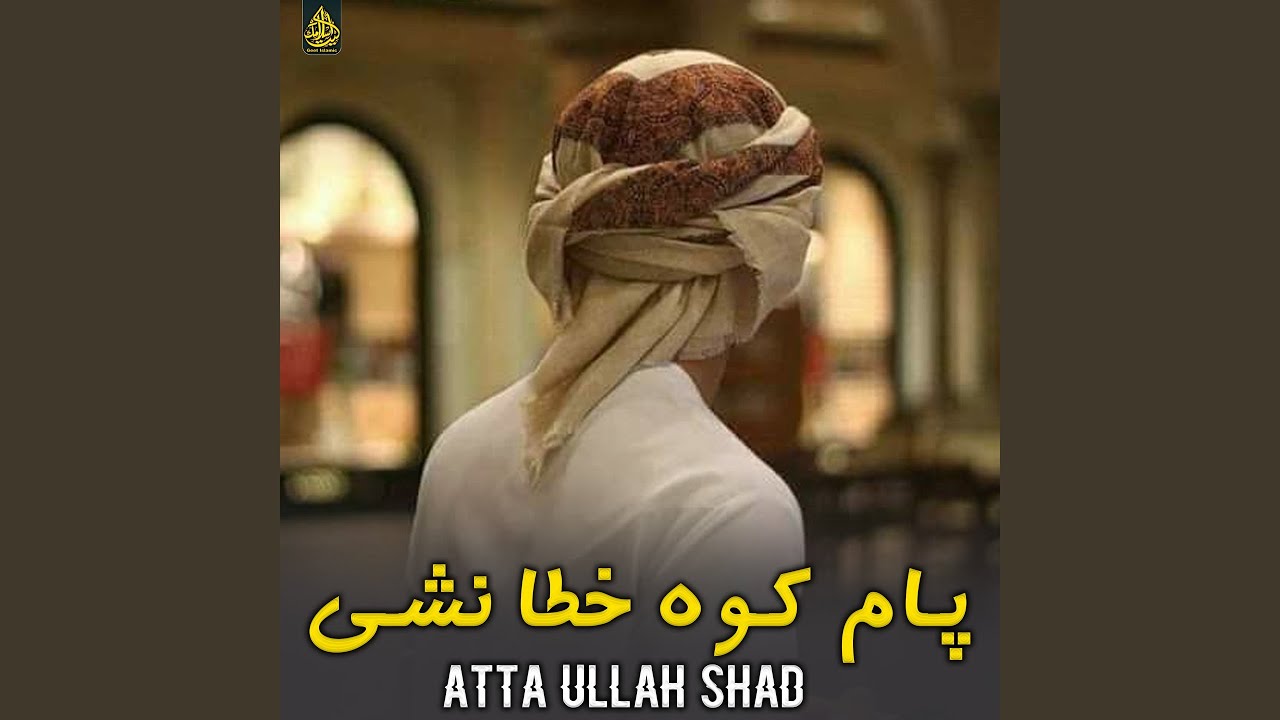 پام کوه خطا نشی