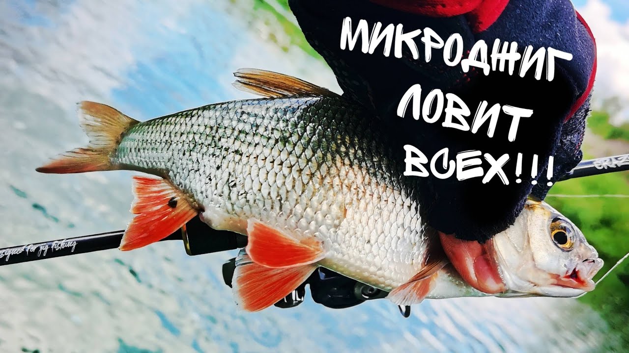 Микроджиг на реке Исеть: Самый эффективный способ ловли. Рыбалка в июле.