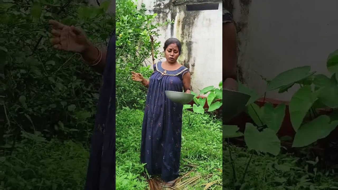লেবু পাড়তে এসে বোলতার কামড় ভাবা যায়...