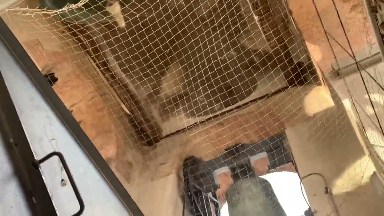 Clip d&rsquo;Archivo: Le campane della Badia di Ripoli dalla Cella Campanaria. (Febbraio 2022)