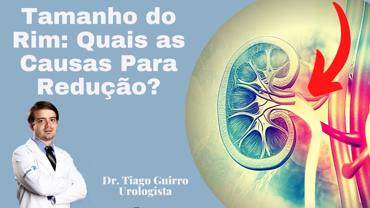 Tamanho do Rim: Quais as Causas Para Redu&ccedil;&atilde;o?