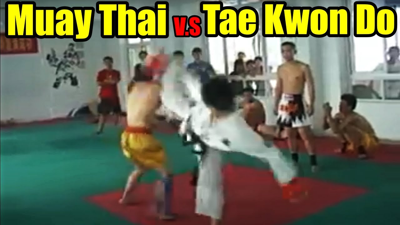 TAEKWONDO VS MUAY THAI