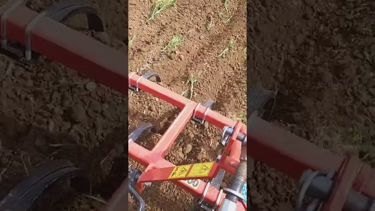 Trattore carraro tigre 3800f. Con estirpatore 7 punti largo 160.