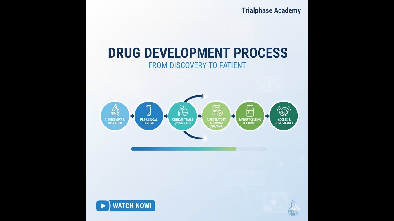 Drug Development Process Trialphase Academy