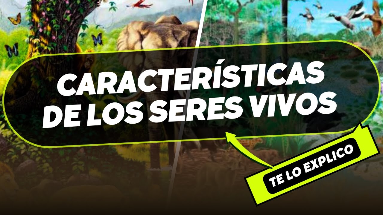 Características de los Seres Vivos/ Explicacion Facil