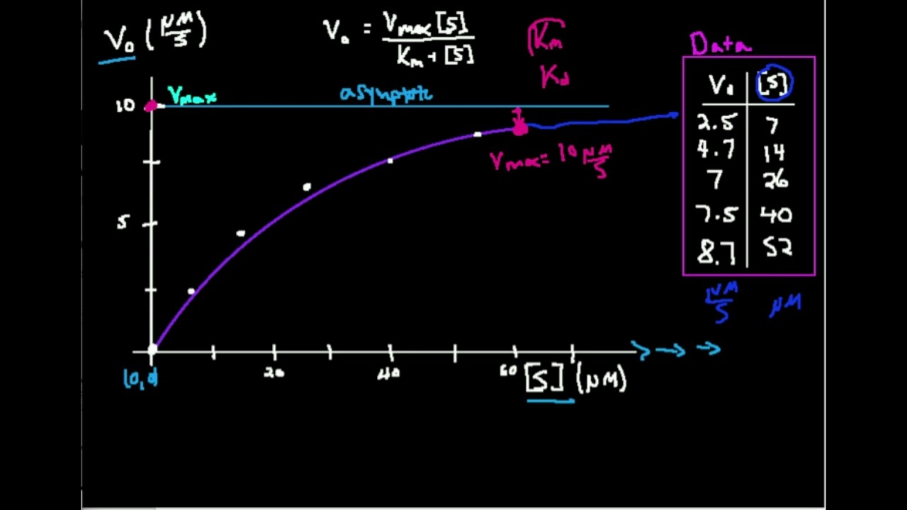 Michaelis-Menten Plot: Estimating Km